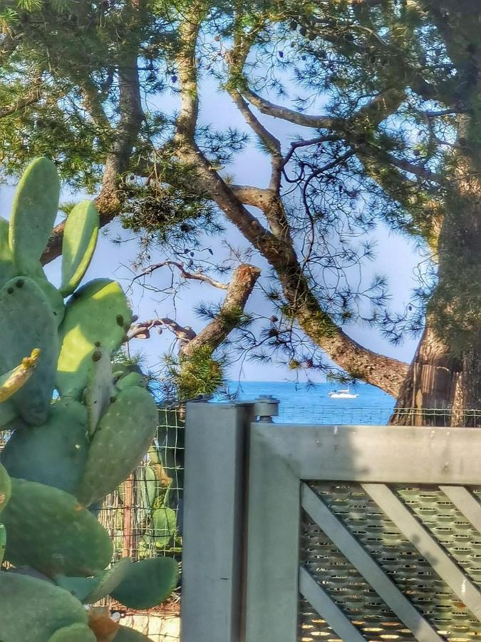 Trullo Seaside Polignano Villa Polignano a Mare Bagian luar foto
